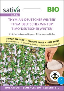 3000 Kriechende Thymiansamen - Blütensamen Für Garten & Balkon