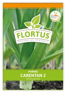 Lauch-Porree Carentan 2