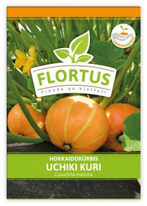 Hokkaidokürbis Uchiki Kuri Hokkaidokürbis Uchiki Kuri