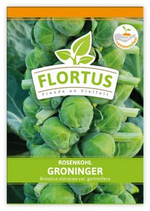Rosenkohl Groninger