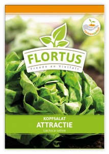 Kopfsalat Attractie