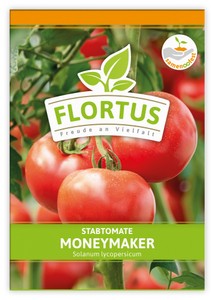 Tomate Moneymaker Tomate Moneymaker
