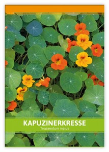 Kapuzinerkresse für Werbezwecke