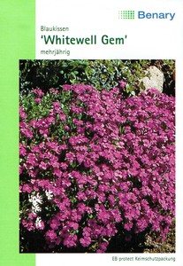 Blaukissen Whitewell Gem