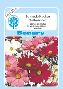 Schmuckkörbchen Frühwunder Schmuckkörbchen Frühwunder