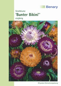 Strohblume Bunter Bikini Strohblume Bunter Bikini