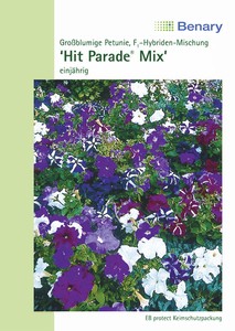 Petunie Hit Parade F1 Mix Petunie Hit Parade F1 Mix