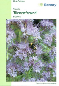 Phacelie Bienenfreund