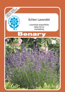 Lavendel Echter