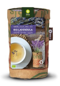 BIO Teegarten Lavendel BIO Teegarten Lavendel