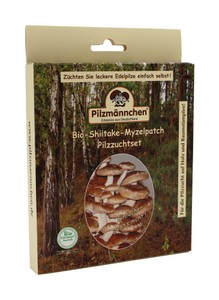 BIO Pilzzuchtset Shiitake Myzelpatch (4 Stück)