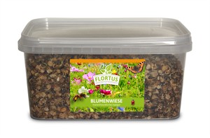 Blumenwiese (2,5 l im Eimer)