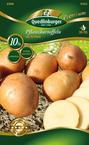 Pflanzkartoffel Up to Date (10 Stück) (hellgelb, mehligkochend, mittelfrüh)