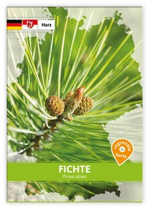 Fichte (Regionale Sorte Harz)