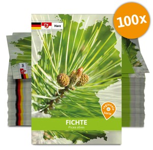Fichte (Regionale Sorte Harz) (100 Tütchen)