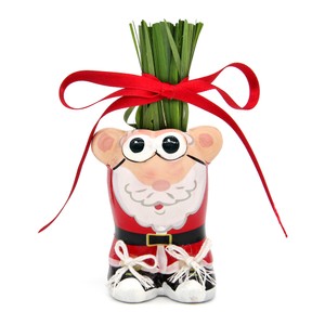 Anzuchtset Munakuppi Weihnachtsmann