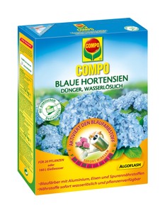 Blaue Hortensien (800 g)