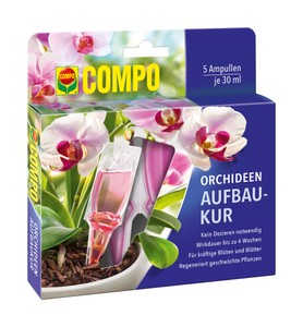 Orchideen-Aufbaukur (5 Stück)