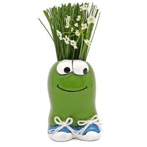 Anzuchtset Munakuppi Frosch