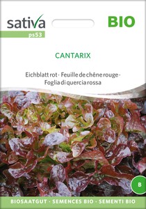 BIO Eichblatt rot Cantarix BIO Eichblatt rot Cantarix