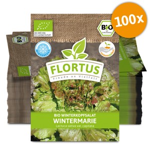 BIO Winterkopfsalat Wintermarie (100 Tütchen) BIO Winterkopfsalat Wintermarie (100 Tütchen)