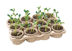 Eco Topfplatte (12 Töpfe)
