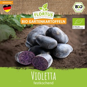 BIO Gartenkartoffel Violetta (festkochend)