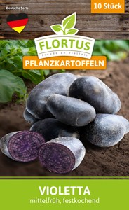 Pflanzkartoffel Violetta (mittelfrüh, festkochend)