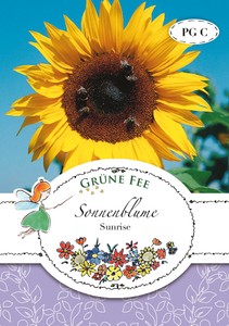Sonnenblume Sunrise