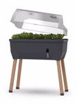 SAMMY SALAD Hochbeet anthrazit