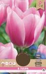 Tulpe Algarve (8 Stück) | Tulpenzwiebeln von Florex | Samenhaus Samen ...