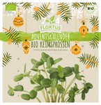 BIO Keimsprossen Adventskalender