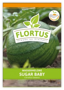 Wassermelone Sugar Baby Wassermelone Sugar Baby
