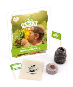 KIDS Mini Anzuchtset Sonnenblume KIDS Mini Anzuchtset Sonnenblume