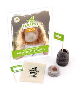 KIDS Mini Anzuchtset Riesenpusteblume