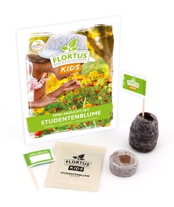 KIDS Mini Anzuchtset Studentenblume