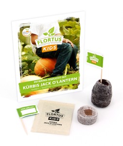 KIDS Mini Anzuchtset Kürbis Jack O'Lantern