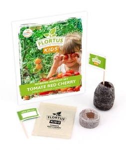 KIDS Mini Anzuchtset Tomate Red Cherry