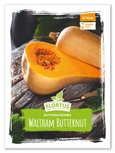 Butternutkürbis Waltham Butternut