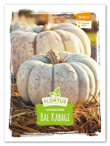 Honigkürbis Bal Kabagi