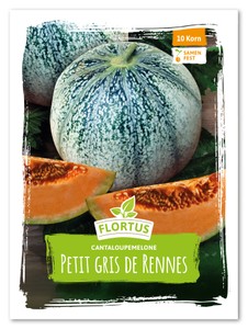 Cantaloupemelone Petit gris de Rennes
