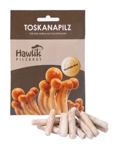 Pilzzuchtset Toskanapilz Dübel