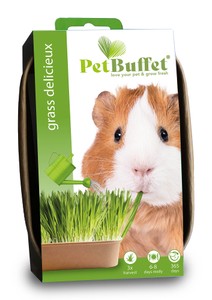 Pet-Buffet Meerschweinchen delicieux (3 Tütchen) Pet-Buffet Meerschweinchen delicieux (3 Tütchen)