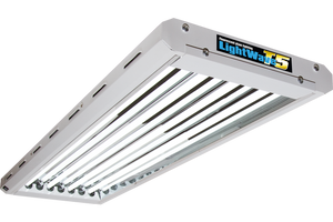 Lightwave T5 44 - HO Stecklingsbeleuchtung, 216 W
