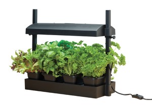 Micro Grow Light Garten