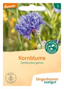 Gänsekresse Compinkie Gänsekressesamen von Benary Samen Samenhaus