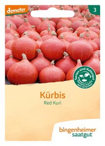 BIO Kürbis Red Kuri BIO Kürbis Red Kuri