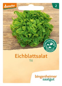 BIO Pflücksalat Till BIO Pflücksalat Till