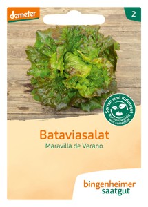 BIO Bataviasalat M. de Verano BIO Bataviasalat M. de Verano