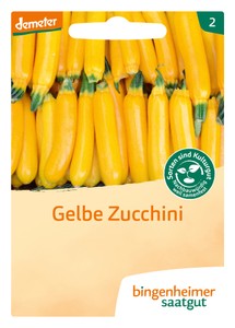BIO Zucchini Solara BIO Zucchini Solara